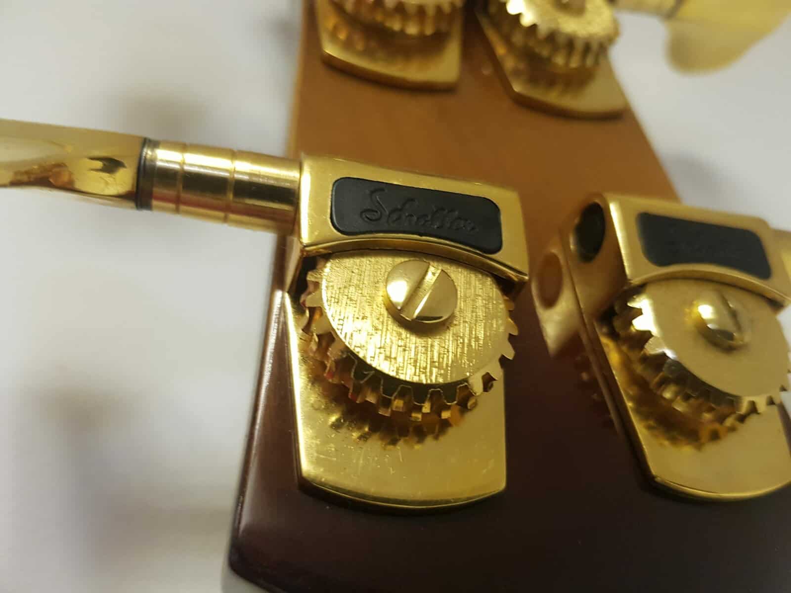 Maton - Fretless Bass - Custom Built - Image 14